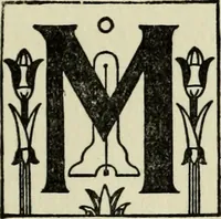 Picture 33 of 35 from The history of freemasonry : its legends and traditions, its chronological history (1906), leaf 248