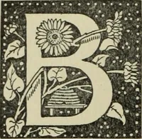 Picture 16 of 32 from The history of freemasonry : its legends and traditions, its chronological history (1906), leaf 145