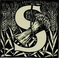 Picture 19 of 24 from The history of freemasonry : its legends and traditions, its chronological history (1906), leaf 177