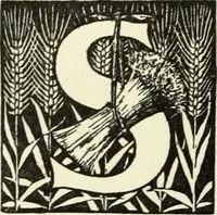 Picture 26 of 33 from The history of freemasonry : its legends and traditions, its chronological history (1906), leaf 207
