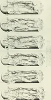 An illustration from A history of French architecture, from the reign of Charles VIII till the death of Mazarin (1911)