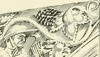 Picture 304 of 325 from A history of Gothic art in England (1900), leaf 436