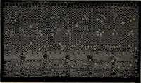 An illustration from A history of hand-made lace : Dealing with the origin of lace, the growth of the great lace centres, the mode of manufacture, the methods of distinguishing and the care of various kinds of lace ... (1900)