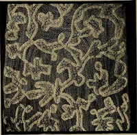 An illustration from A history of hand-made lace : Dealing with the origin of lace, the growth of the great lace centres, the mode of manufacture, the methods of distinguishing and the care of various kinds of lace ... (1900)