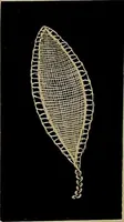 An illustration from A history of hand-made lace : Dealing with the origin of lace, the growth of the great lace centres, the mode of manufacture, the methods of distinguishing and the care of various kinds of lace ... (1900)