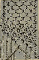 An illustration from A history of hand-made lace : Dealing with the origin of lace, the growth of the great lace centres, the mode of manufacture, the methods of distinguishing and the care of various kinds of lace ... (1900)
