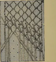 An illustration from A history of hand-made lace : Dealing with the origin of lace, the growth of the great lace centres, the mode of manufacture, the methods of distinguishing and the care of various kinds of lace ... (1900)