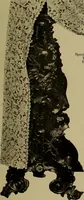 An illustration from A history of hand-made lace : Dealing with the origin of lace, the growth of the great lace centres, the mode of manufacture, the methods of distinguishing and the care of various kinds of lace ... (1900)