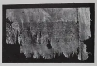 An illustration from A history of hand-made lace; dealing with the origin of lace, the growth of the great lace centres, the mode of manufacture, the methods of distinguishing and the care of various kinds of lace (1900)