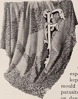 An illustration from A history of hand-made lace : dealing with the origin of lace, the growth of the great lace centres, the mode of manufacture, the methods of distinguishing and the care of various kinds of lace (1900)