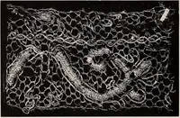 An illustration from A history of hand-made lace : dealing with the origin of lace, the growth of the great lace centres, the mode of manufacture, the methods of distinguishing and the care of various kinds of lace (1900)