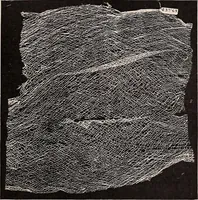 An illustration from A history of hand-made lace : dealing with the origin of lace, the growth of the great lace centres, the mode of manufacture, the methods of distinguishing and the care of various kinds of lace (1900)