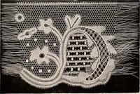 An illustration from A history of hand-made lace : dealing with the origin of lace, the growth of the great lace centres, the mode of manufacture, the methods of distinguishing and the care of various kinds of lace (1900)