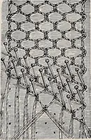 An illustration from A history of hand-made lace : dealing with the origin of lace, the growth of the great lace centres, the mode of manufacture, the methods of distinguishing and the care of various kinds of lace (1900)