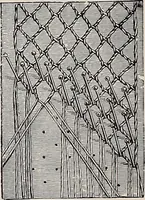An illustration from A history of hand-made lace : dealing with the origin of lace, the growth of the great lace centres, the mode of manufacture, the methods of distinguishing and the care of various kinds of lace (1900)