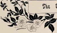An illustration from A history of hand-made lace : dealing with the origin of lace, the growth of the great lace centres, the mode of manufacture, the methods of distinguishing and the care of various kinds of lace (1900)