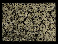 An illustration from History of lace (1902)