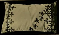 An illustration from History of lace (1902)