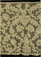 Picture 58 of 272 from History of lace (1902), leaf 140