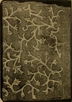 An illustration from History of lace (1902)