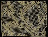An illustration from History of lace (1902)