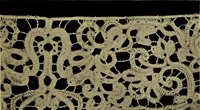 An illustration from History of lace (1902)