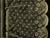 Picture 108 of 272 from History of lace (1902), leaf 228