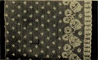 An illustration from History of lace (1902)