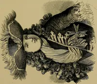 An illustration from History of lace (1902)