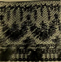 An illustration from History of lace (1902)