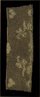An illustration from History of lace (1902)