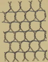 An illustration from History of lace (1902)