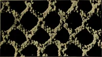 Picture 8 of 272 from History of lace (1902), leaf 38
