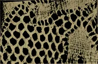 Picture 9 of 272 from History of lace (1902), leaf 38