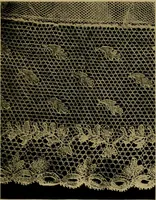 Picture 181 of 272 from History of lace (1902), leaf 410