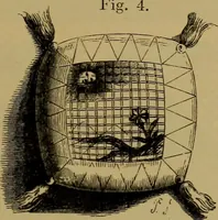 Picture 14 of 272 from History of lace (1902), leaf 52