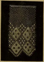 Picture 234 of 272 from History of lace (1902), leaf 598