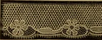 An illustration from History of lace (1902)
