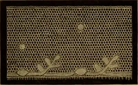 Picture 238 of 272 from History of lace (1902), leaf 599