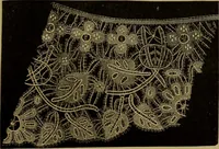 An illustration from History of lace (1902)