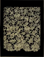An illustration from History of lace (1902)