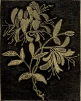 An illustration from History of lace (1902)