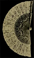 An illustration from History of lace (1902)