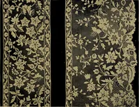 An illustration from History of lace (1902)