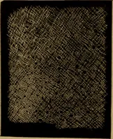 An illustration from History of lace (1902)