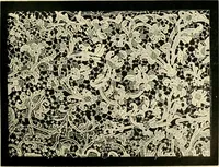 An illustration from History of lace (1902)