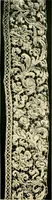An illustration from History of lace (1902)