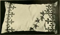 An illustration from History of lace (1902)