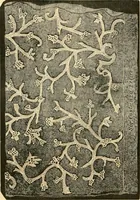 An illustration from History of lace (1902)