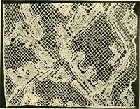 An illustration from History of lace (1902)